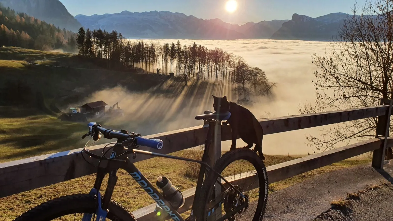 Dave from Liechtenstein – Dave's Photo Share | Light Travel Gallery