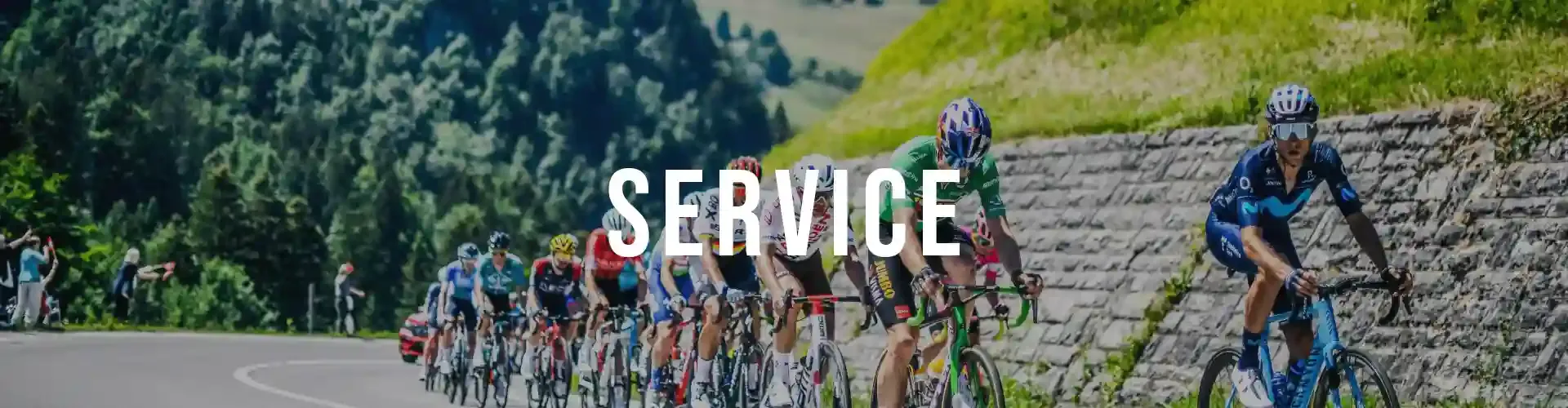 light-travel-cycling-service-center-warranty-custom-wheel-building-and-tech-supp.png