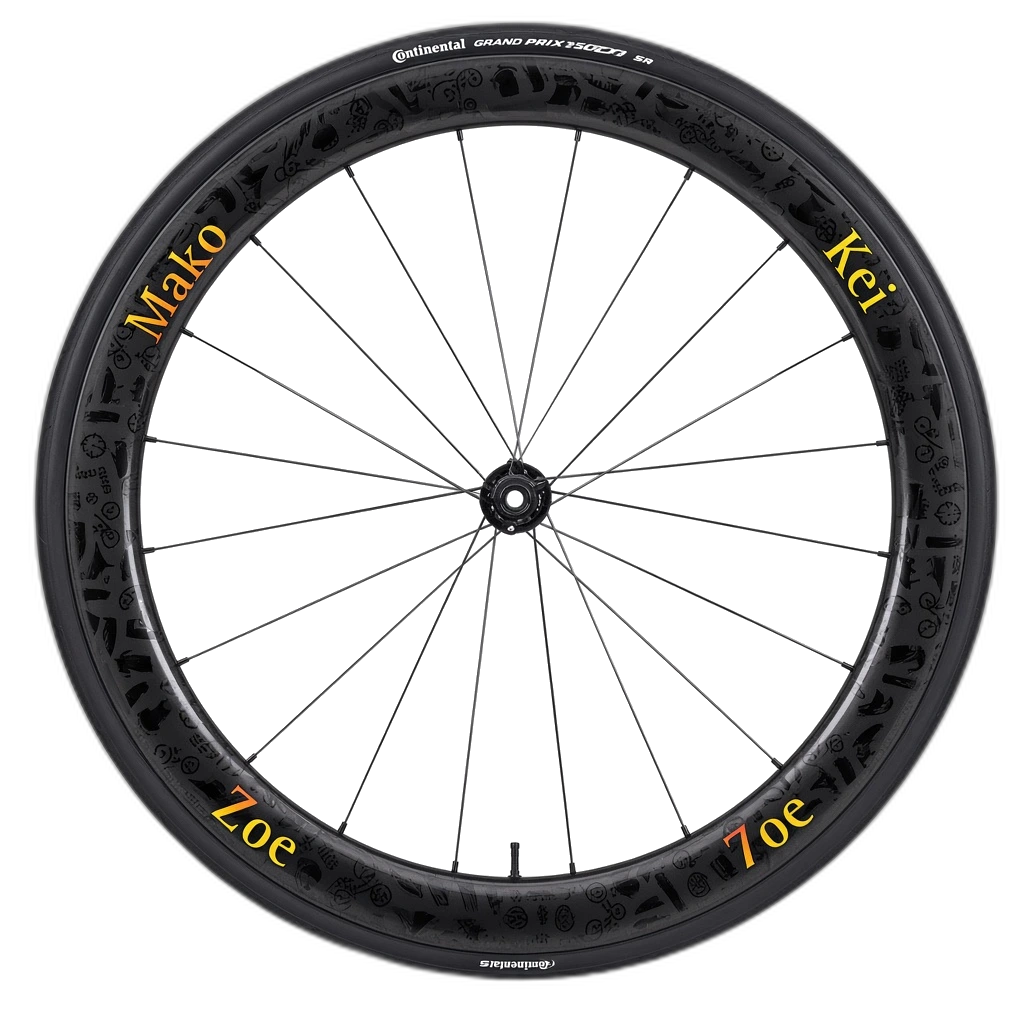 Custom Carbon Wheelsets by Light Travel Cycling